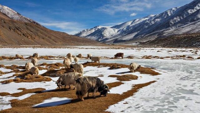 Lugares para ver en Ladakh