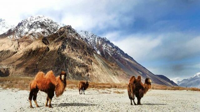 agencia de viajes en ladakh