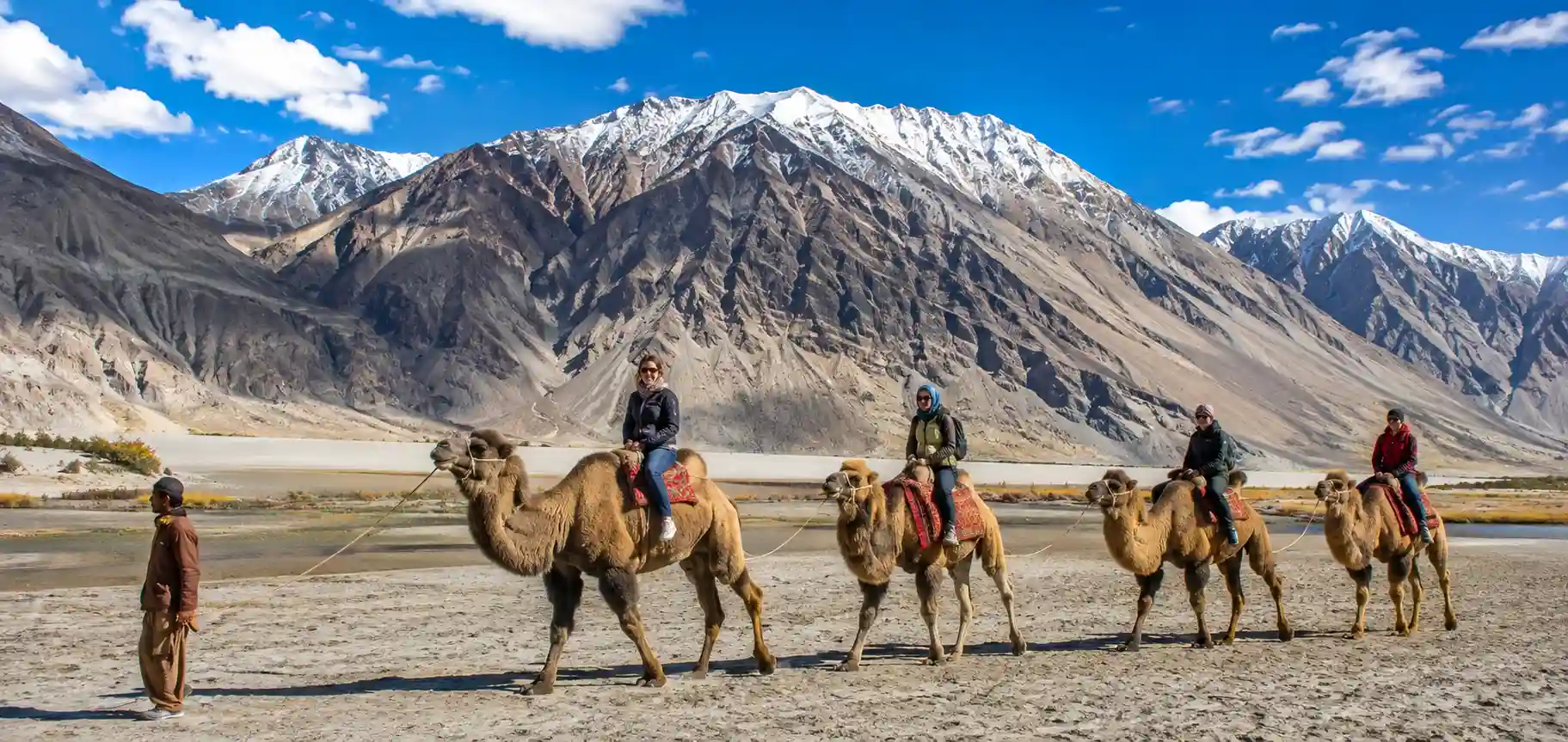 Tour packages ladakh