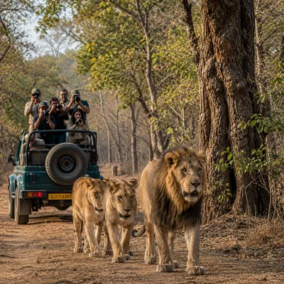 grand tour of gujarat